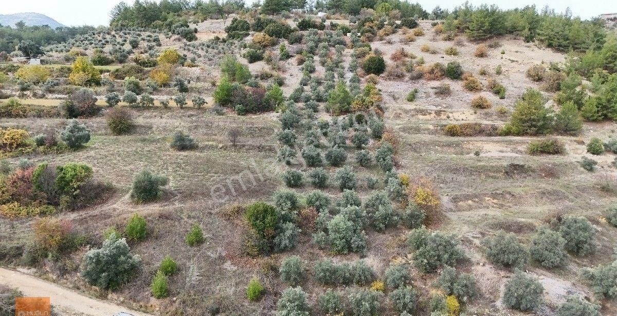 Yerkesik Yeniköy’de Kaçırılmayacak Fırsat - Görsel 3