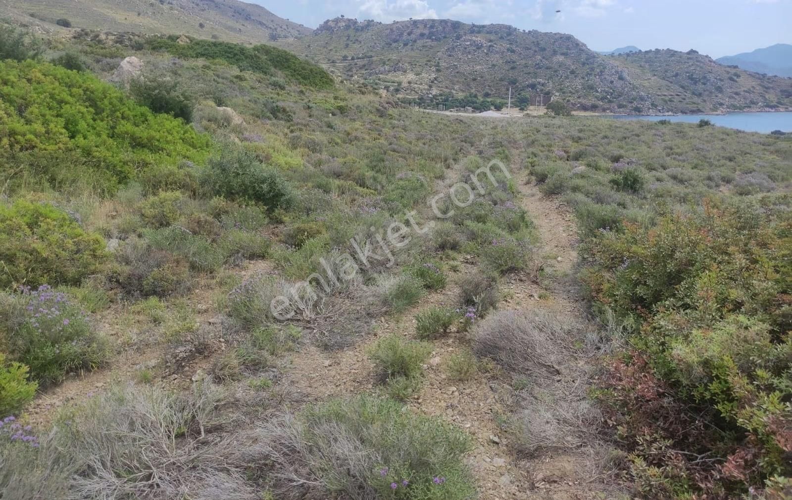Ahmet Ayar Dan Nergiz Full Deniz Manzaralı 378 Metrekare - Görsel 6
