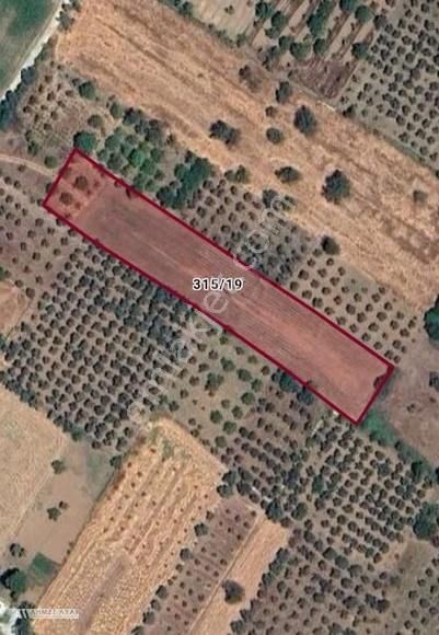 Ahmet Ayar Dan Ula Köprübaşı 4294 Metrekare