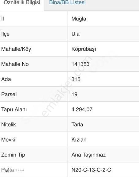 Ahmet Ayar Dan Ula Köprübaşı 4294 Metrekare - Görsel 3