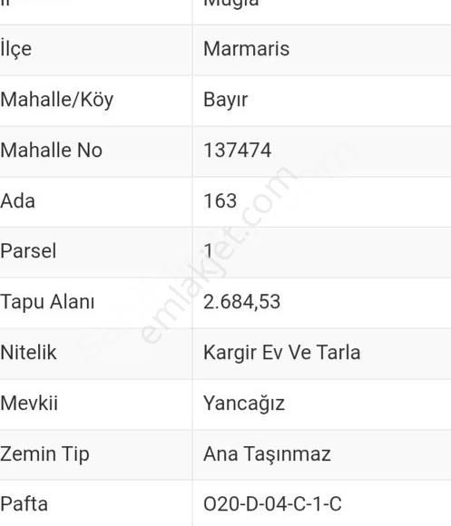 Ahmet Ayar Dan Marmaris Bayır 2684 Metrekare Kargir Ev Ve Tarla - Görsel 3