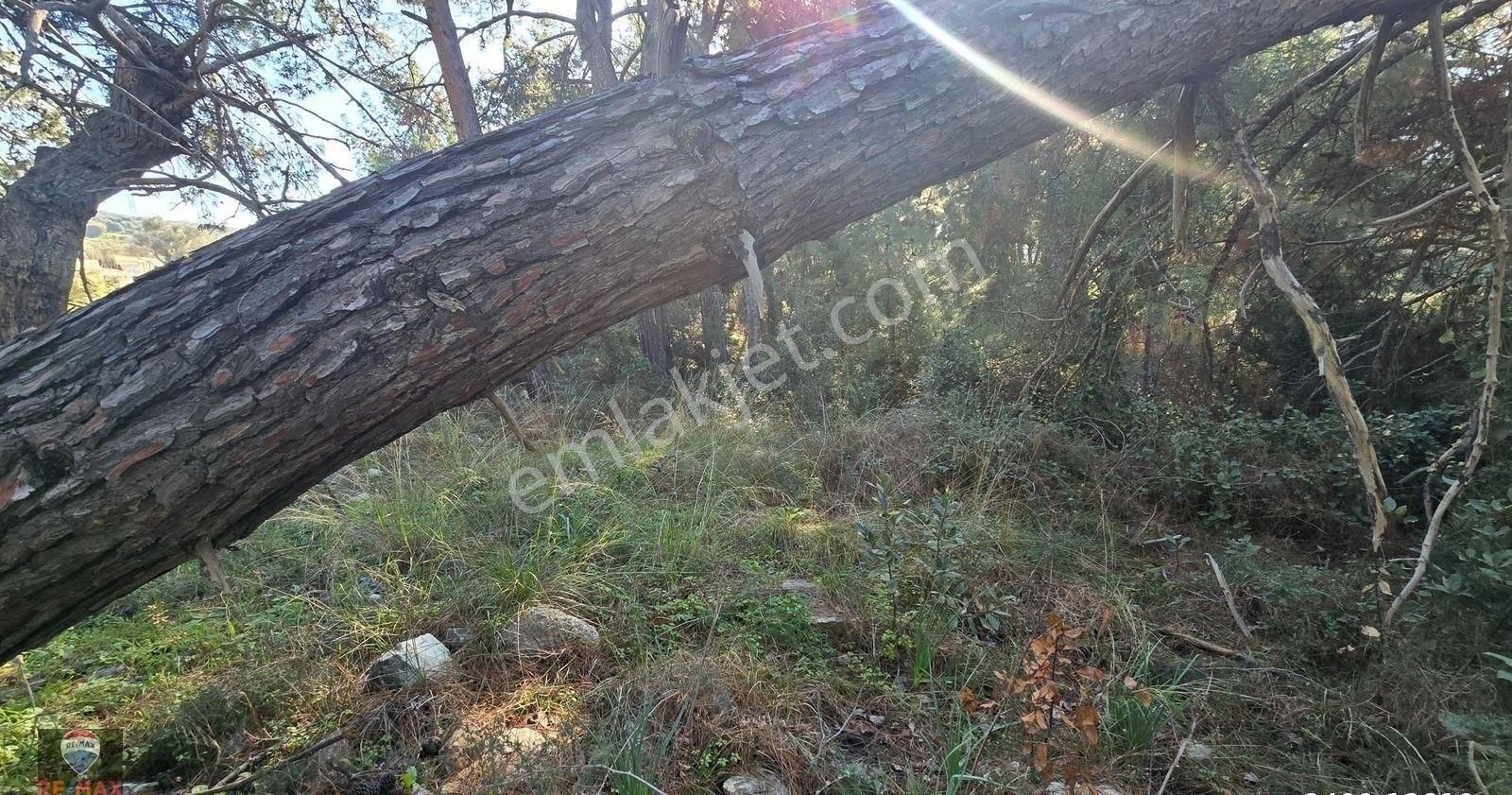 Urla Yelaltı’nda Deniz Manzaralı, Lüks Villalar Arasında Özel Tarla - Görsel 32