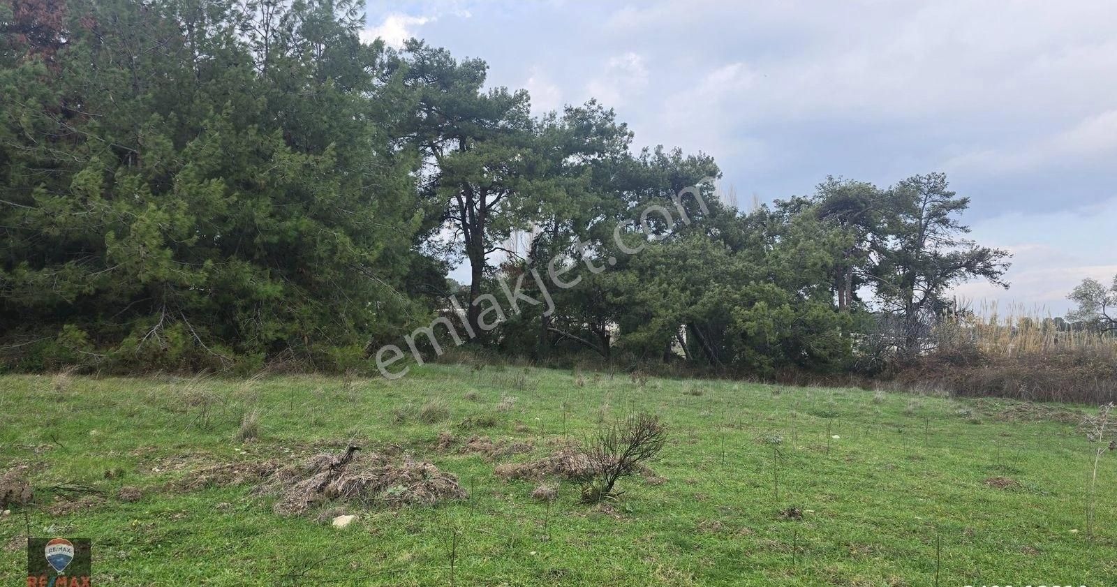 Urla Yelaltı’nda Deniz Manzaralı, Lüks Villalar Arasında Özel Tarla - Görsel 13