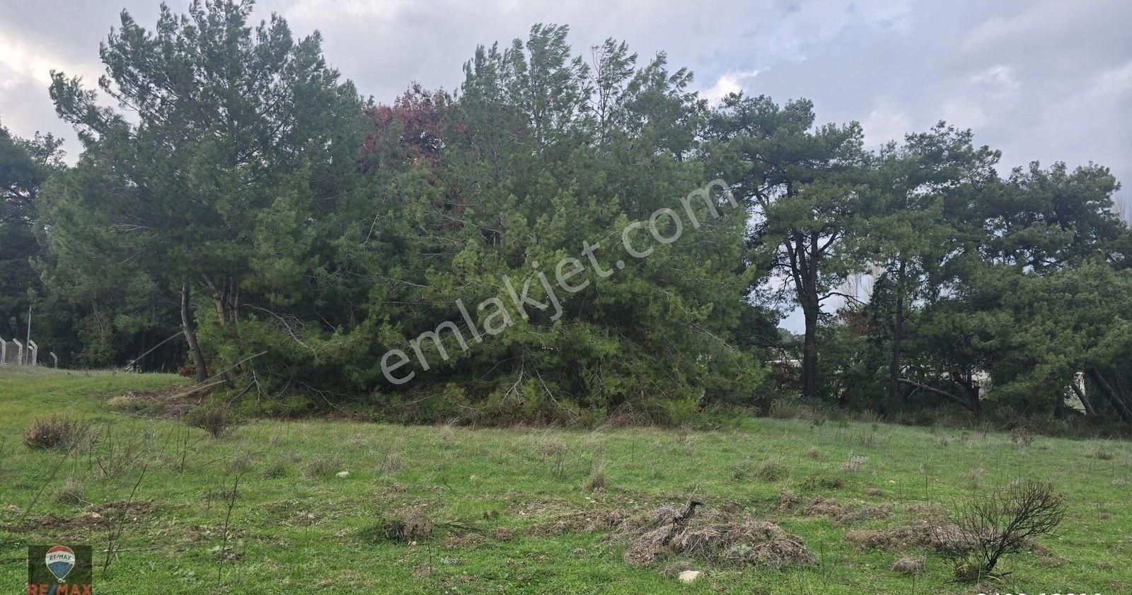 Urla Yelaltı’nda Deniz Manzaralı, Lüks Villalar Arasında Özel Tarla - Görsel 7