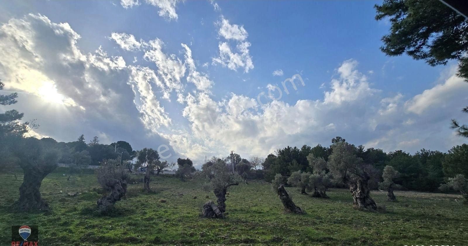 Urla Yelaltı’nda Deniz Manzaralı, Lüks Villalar Arasında Özel Tarla - Görsel 11