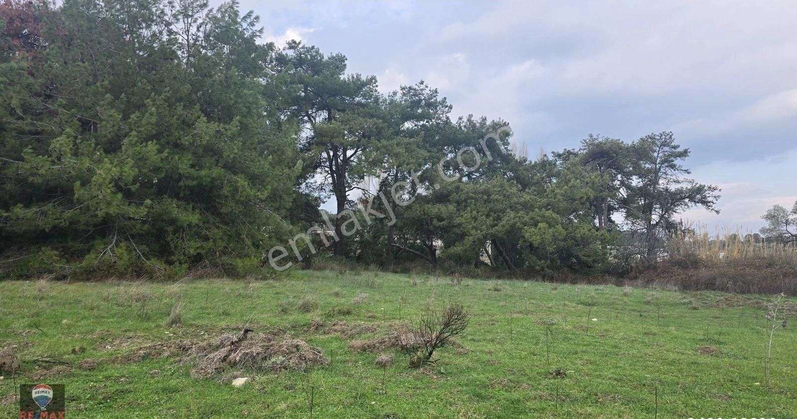 Urla Yelaltı’nda Deniz Manzaralı, Lüks Villalar Arasında Özel Tarla - Görsel 25