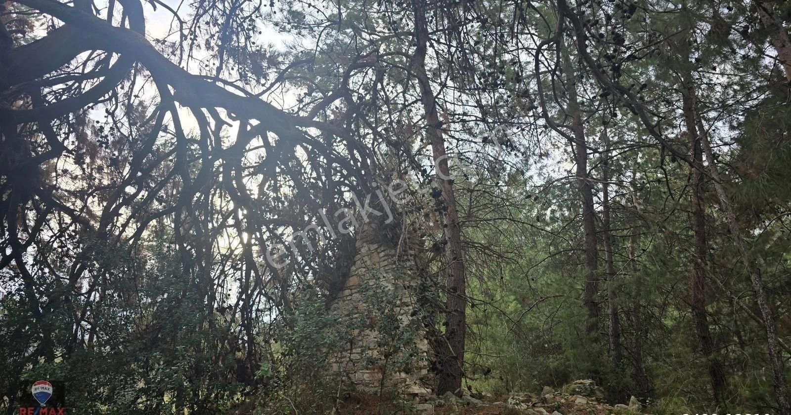 Urla Yelaltı’nda Deniz Manzaralı, Lüks Villalar Arasında Özel Tarla - Görsel 27