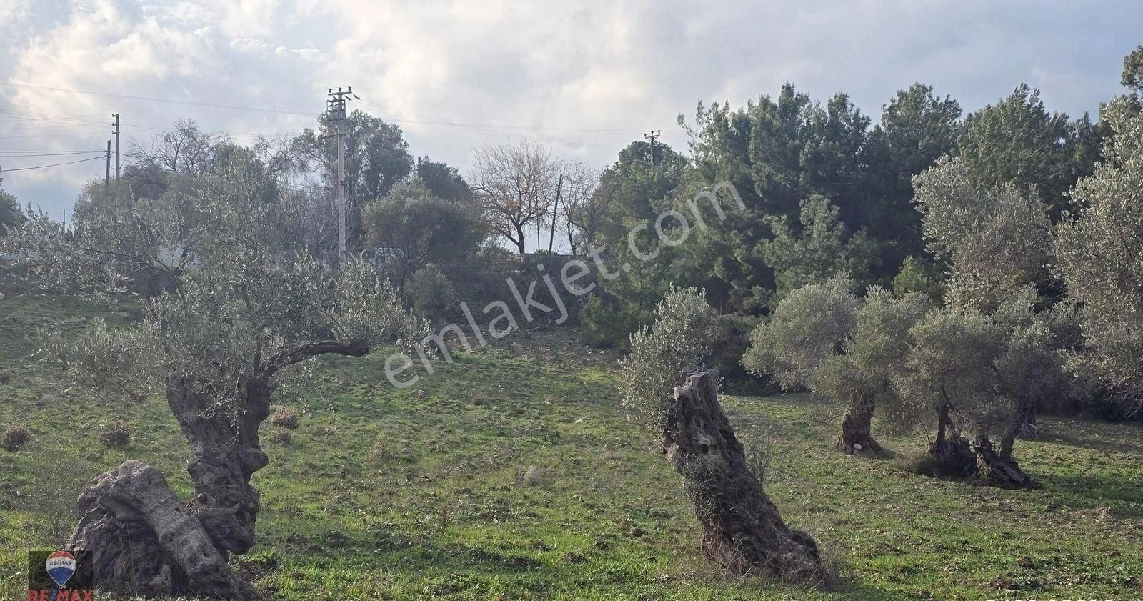 Urla Yelaltı’nda Deniz Manzaralı, Lüks Villalar Arasında Özel Tarla - Görsel 28
