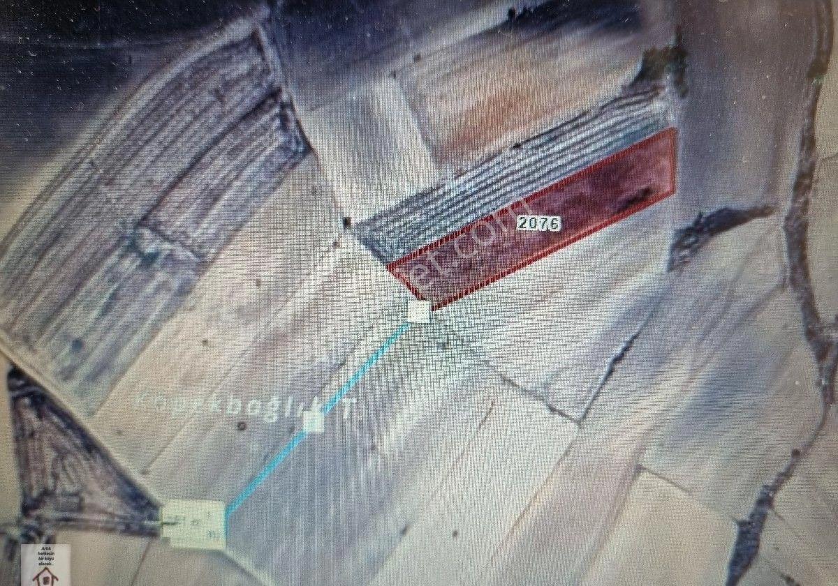 Edirne Uzunköprü Bayramkı Köyü Müstakil Yatıırmlık Arazi - Görsel 4