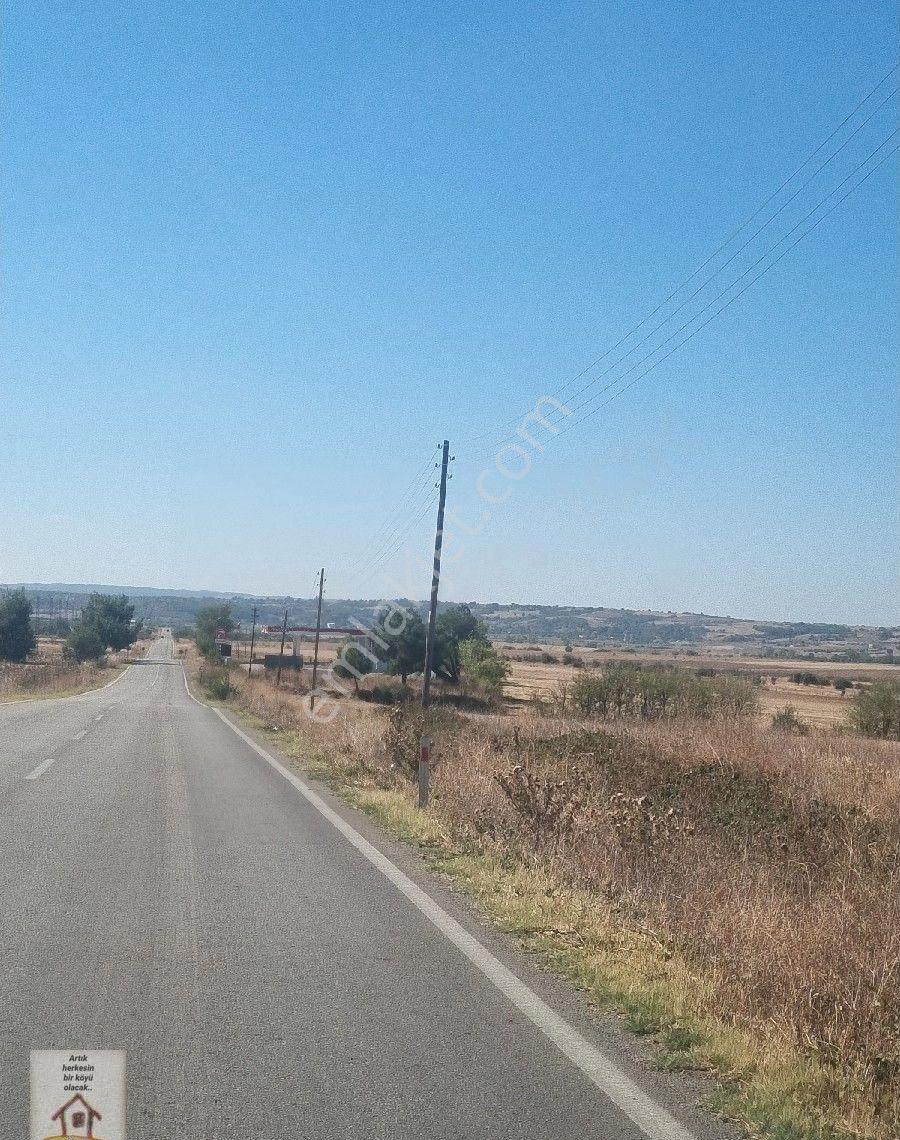 Edirne Uzunköprü Bayramkı Köyü Müstakil Yatıırmlık Arazi - Görsel 6