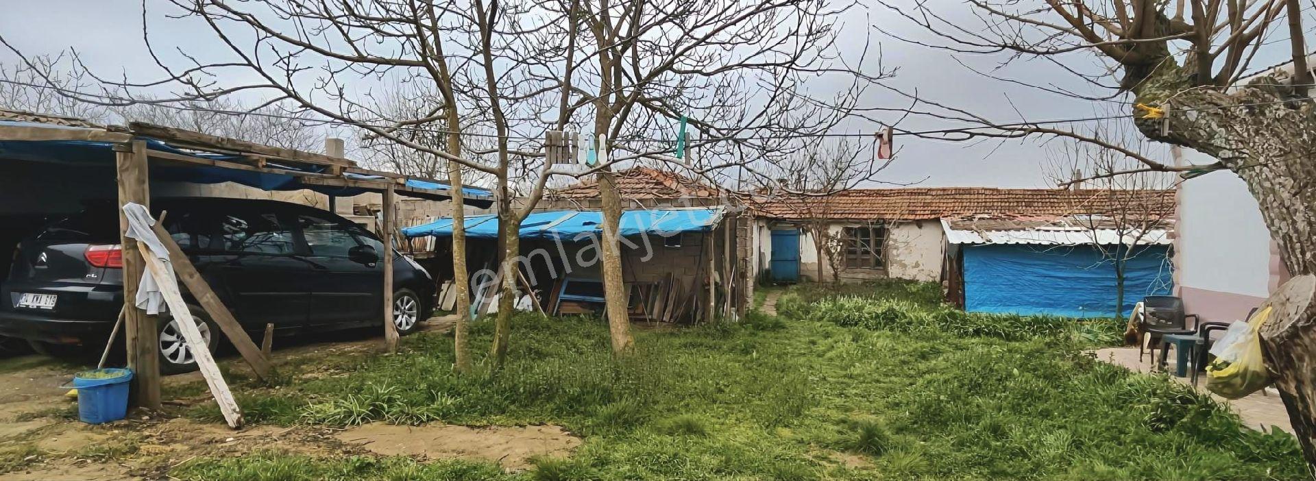 Tekirdağ İlçe Malkara Mahalle Hasköy De Acil Satılık Çiftlik 2.261 M2 - Görsel 6
