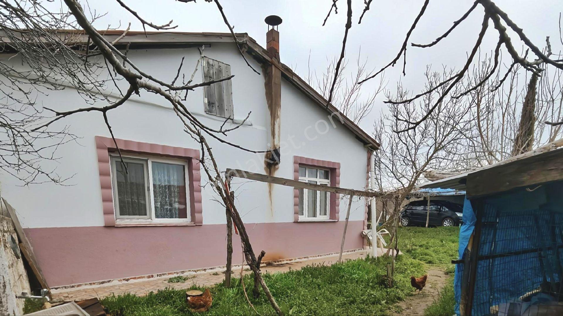 Tekirdağ İlçe Malkara Mahalle Hasköy De Acil Satılık Çiftlik 2.261 M2 - Görsel 20