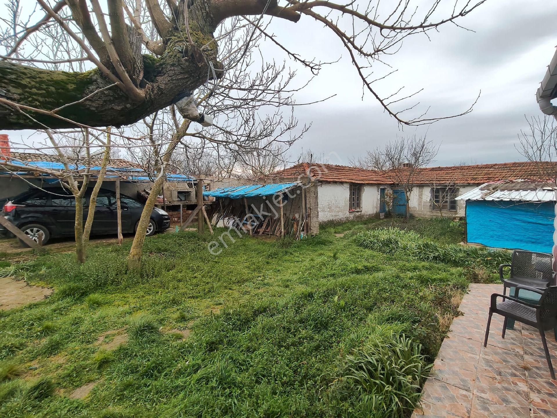 Tekirdağ İlçe Malkara Mahalle Hasköy De Acil Satılık Çiftlik 2.261 M2 - Görsel 19