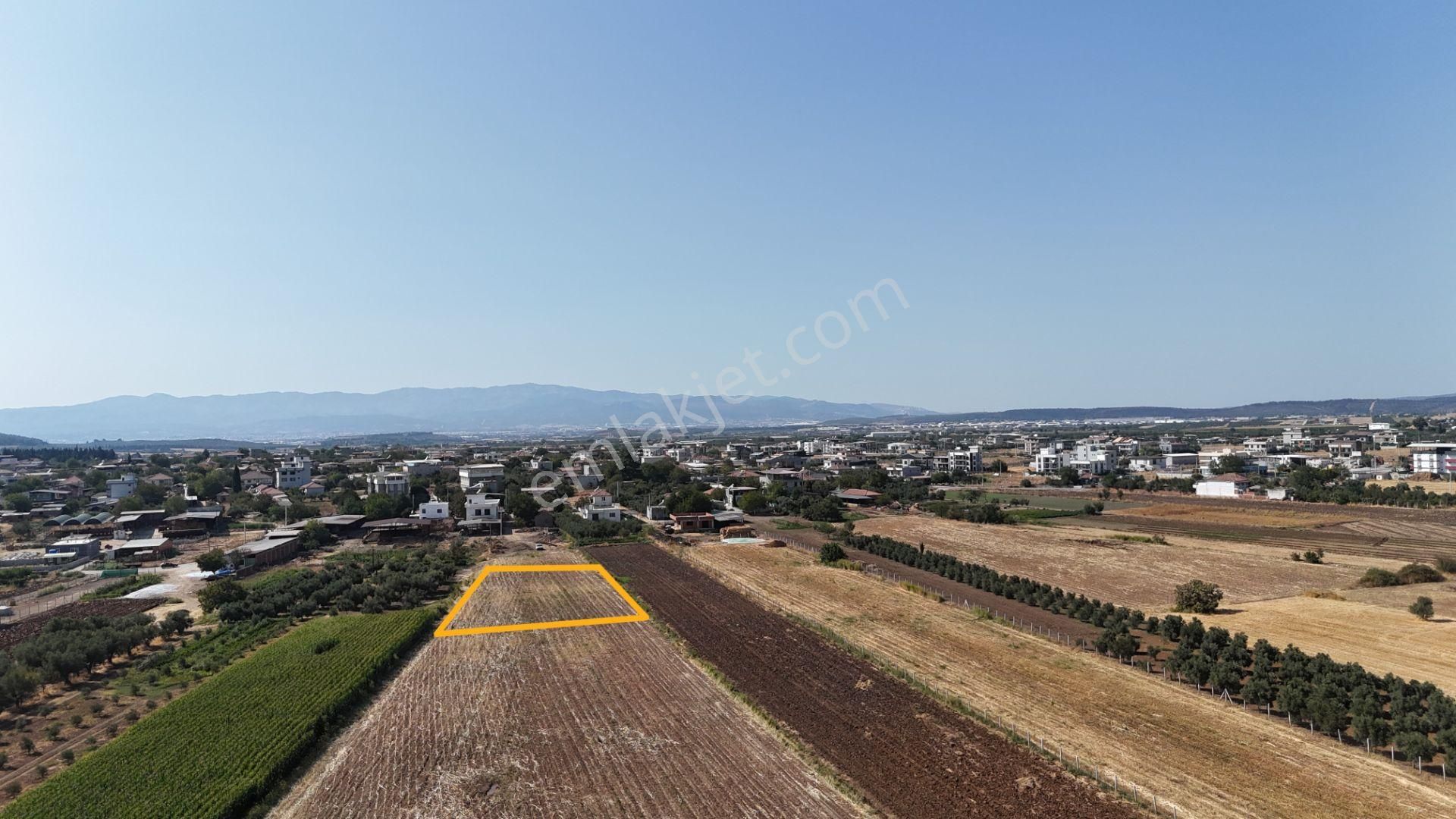 İzmir Menderes Oğlananasında Tek Müstakil Tapu 2440 M2 İmarda İnşaat Yap - Görsel 15