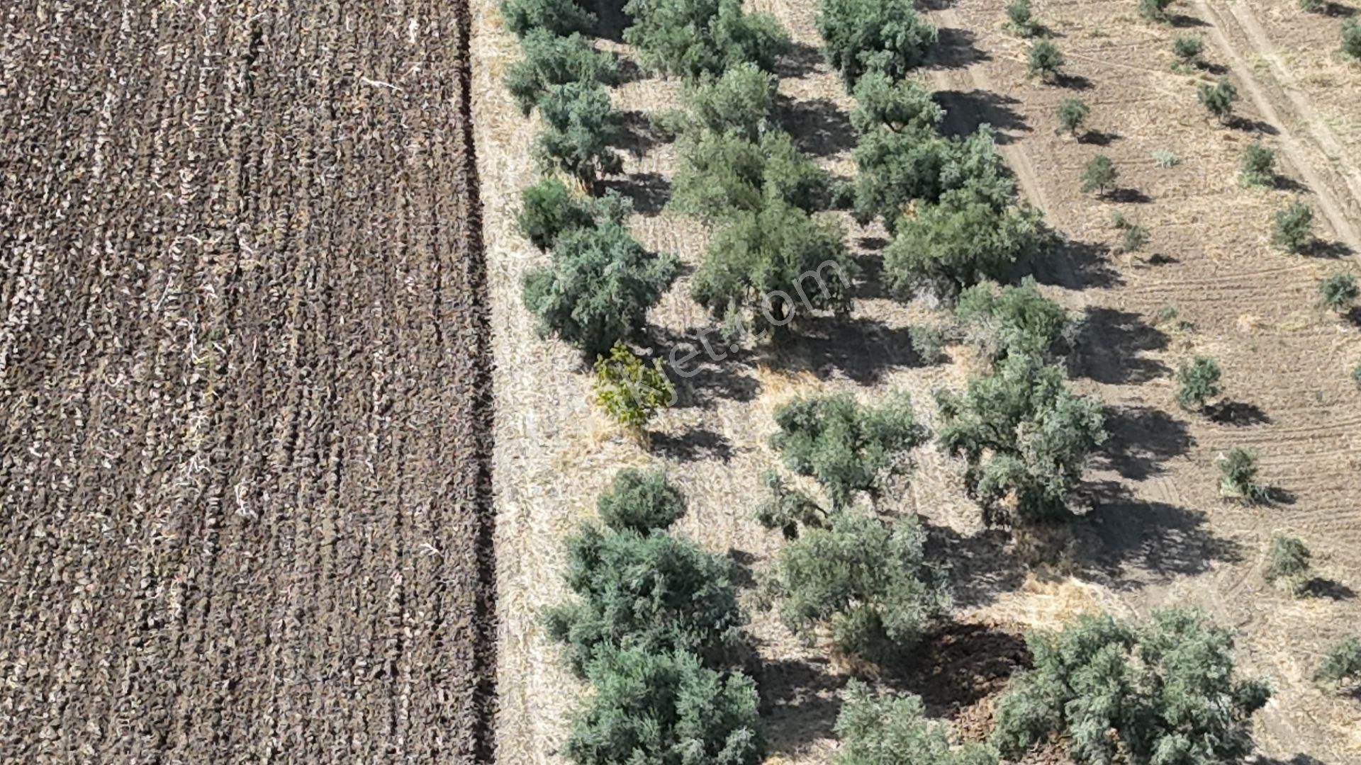 İzmir Menderes Oğlananasında Tek Müstakil Tapu 2440 M2 İmarda İnşaat Yap - Görsel 23