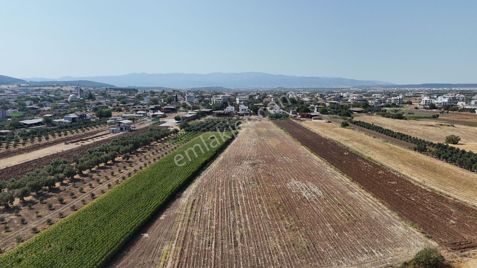 İzmir Menderes Oğlananasında Tek Müstakil Tapu 2440 M2 İmarda İnşaat Yap - Görsel 34