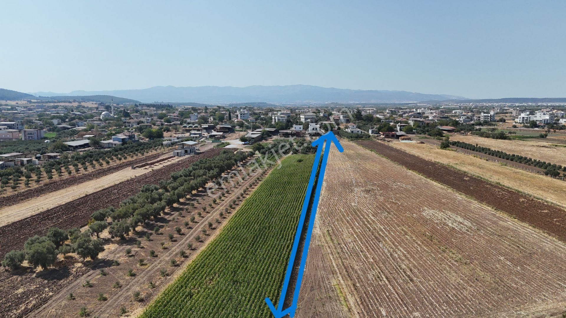 İzmir Menderes Oğlananasında Tek Müstakil Tapu 2440 M2 İmarda İnşaat Yap - Görsel 6