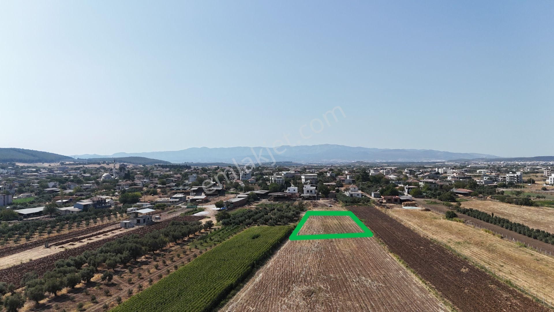 İzmir Menderes Oğlananasında Tek Müstakil Tapu 2440 M2 İmarda İnşaat Yap - Görsel 13