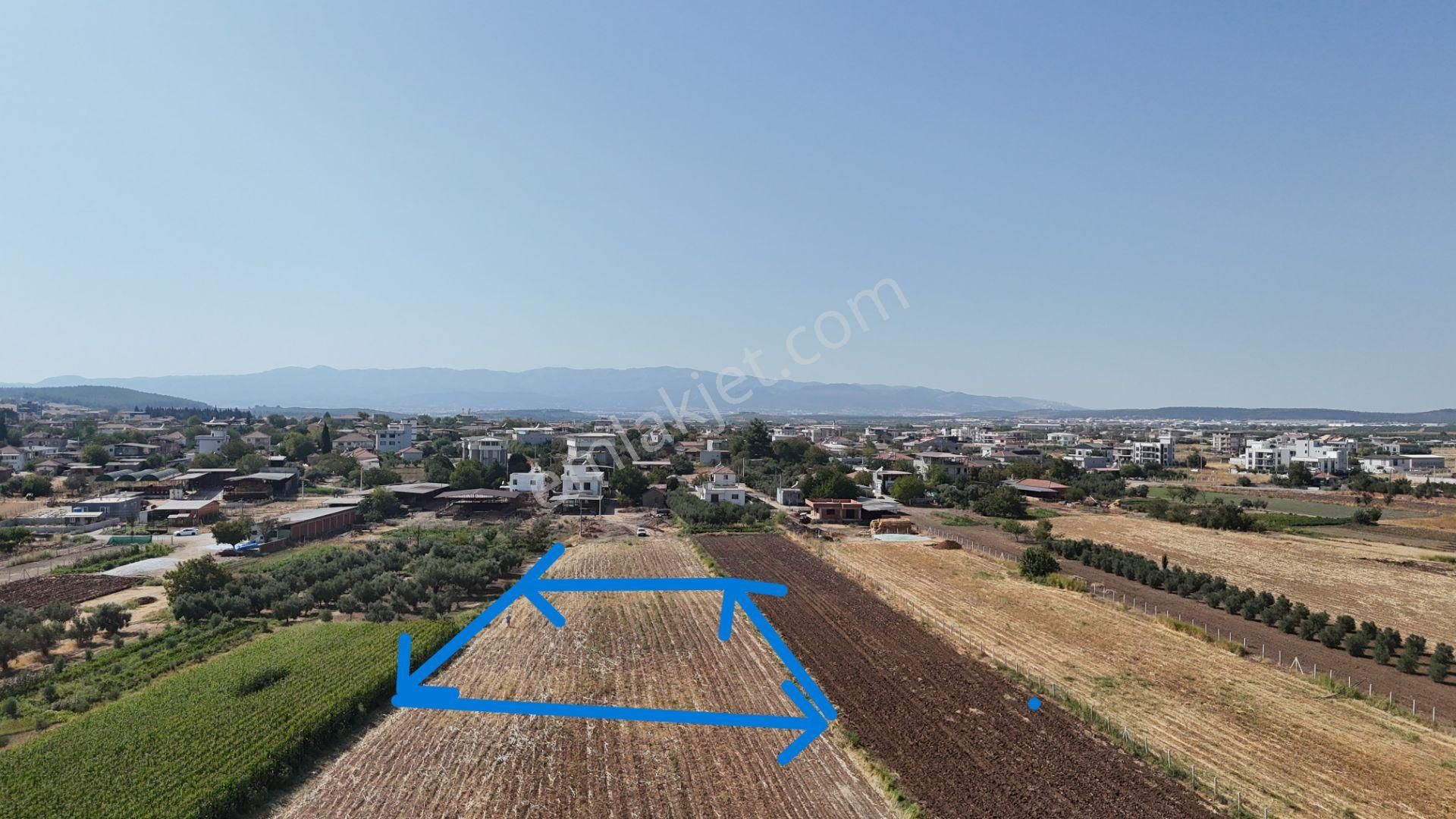 İzmir Menderes Oğlananasında Tek Müstakil Tapu 2440 M2 İmarda İnşaat Yap - Görsel 11