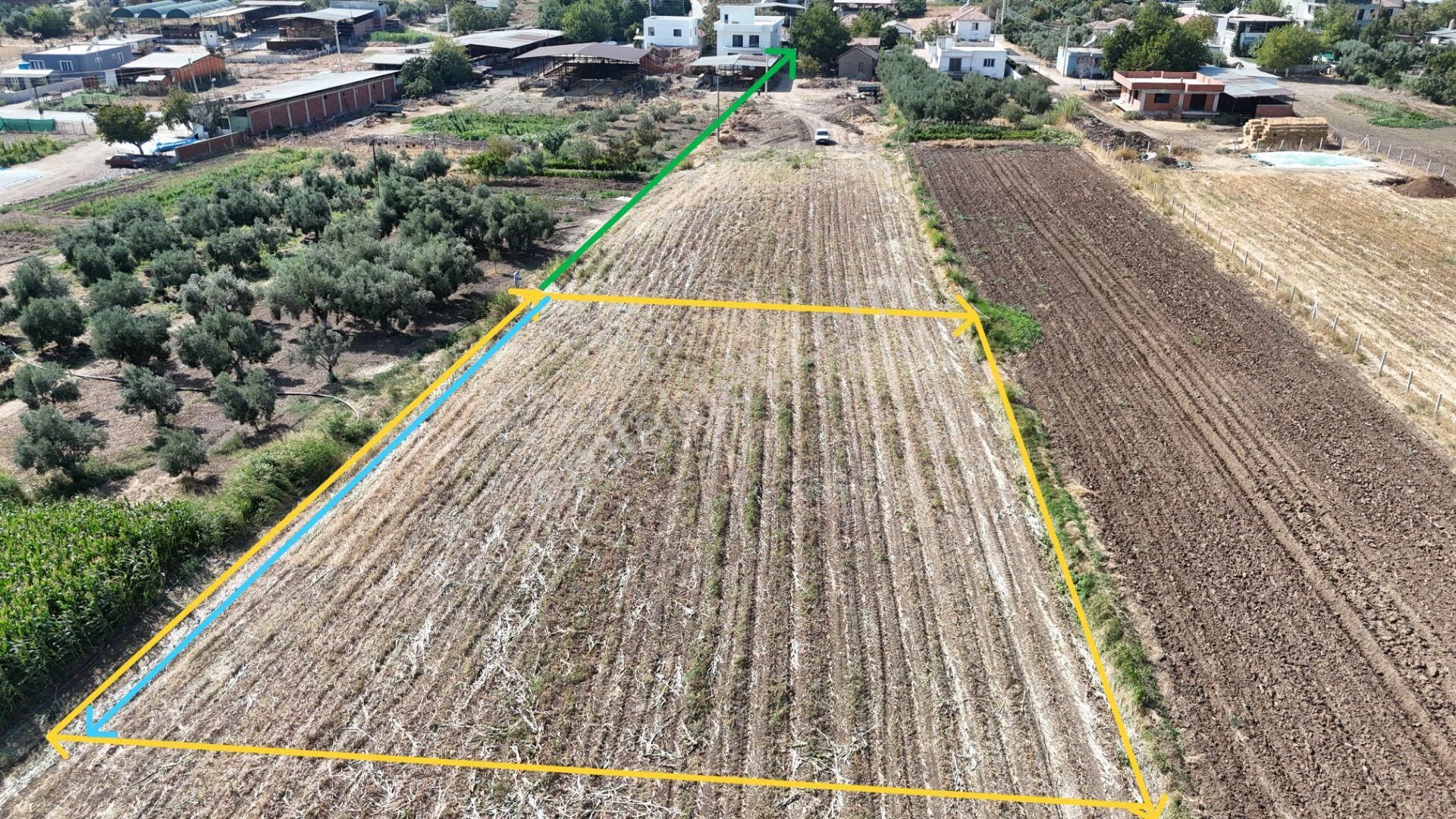 İzmir Menderes Oğlananasında Tek Müstakil Tapu 2440 M2 İmarda İnşaat Yap