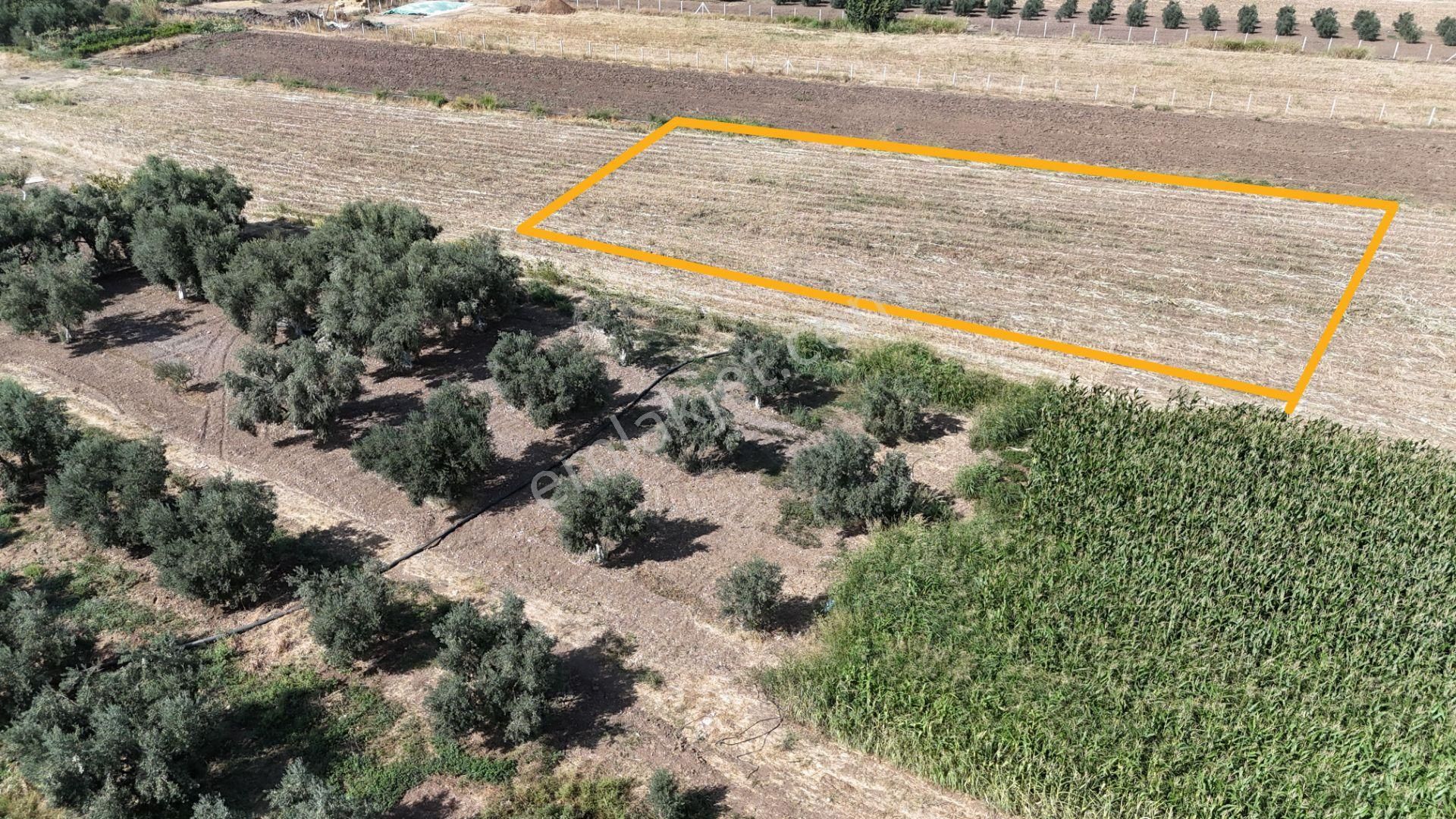 İzmir Menderes Oğlananasında Tek Müstakil Tapu 2440 M2 İmarda İnşaat Yap - Görsel 20