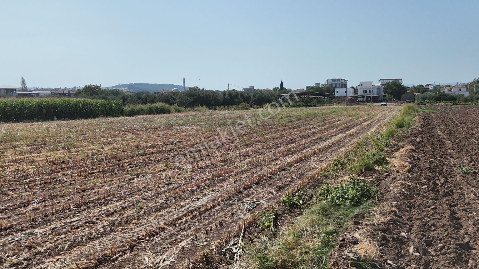 İzmir Menderes Oğlananasında Tek Müstakil Tapu 2440 M2 İmarda İnşaat Yap - Görsel 2