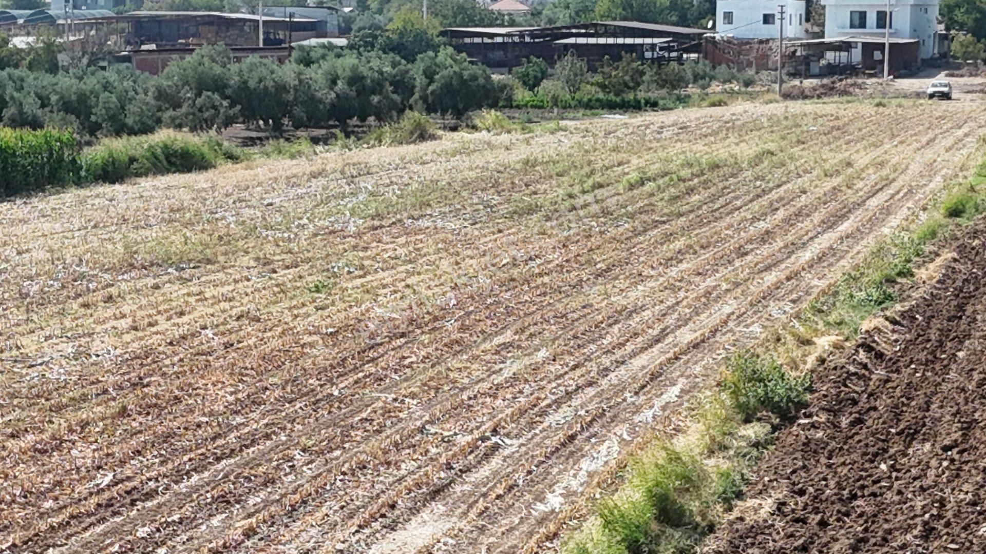 İzmir Menderes Oğlananasında Tek Müstakil Tapu 2440 M2 İmarda İnşaat Yap - Görsel 8