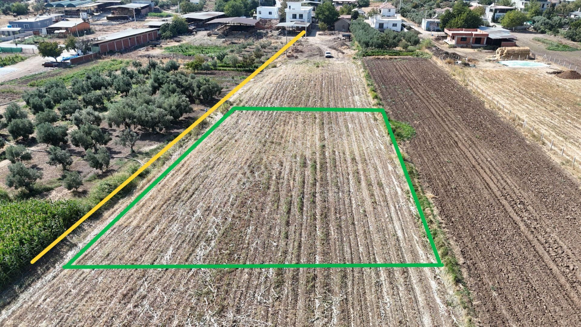 İzmir Menderes Oğlananasında Tek Müstakil Tapu 2440 M2 İmarda İnşaat Yap - Görsel 7