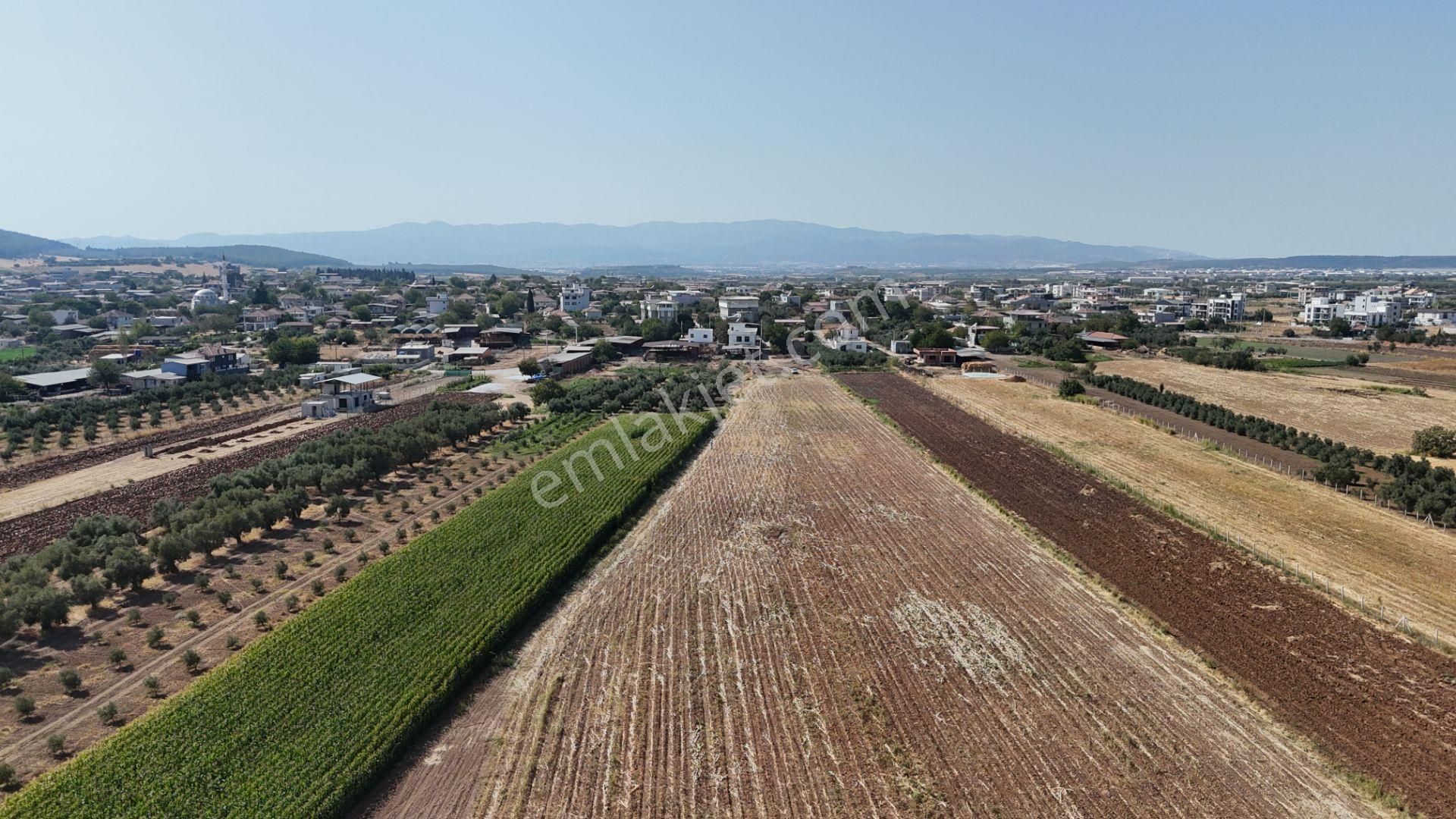 İzmir Menderes Oğlananasında Tek Müstakil Tapu 2440 M2 İmarda İnşaat Yap - Görsel 24