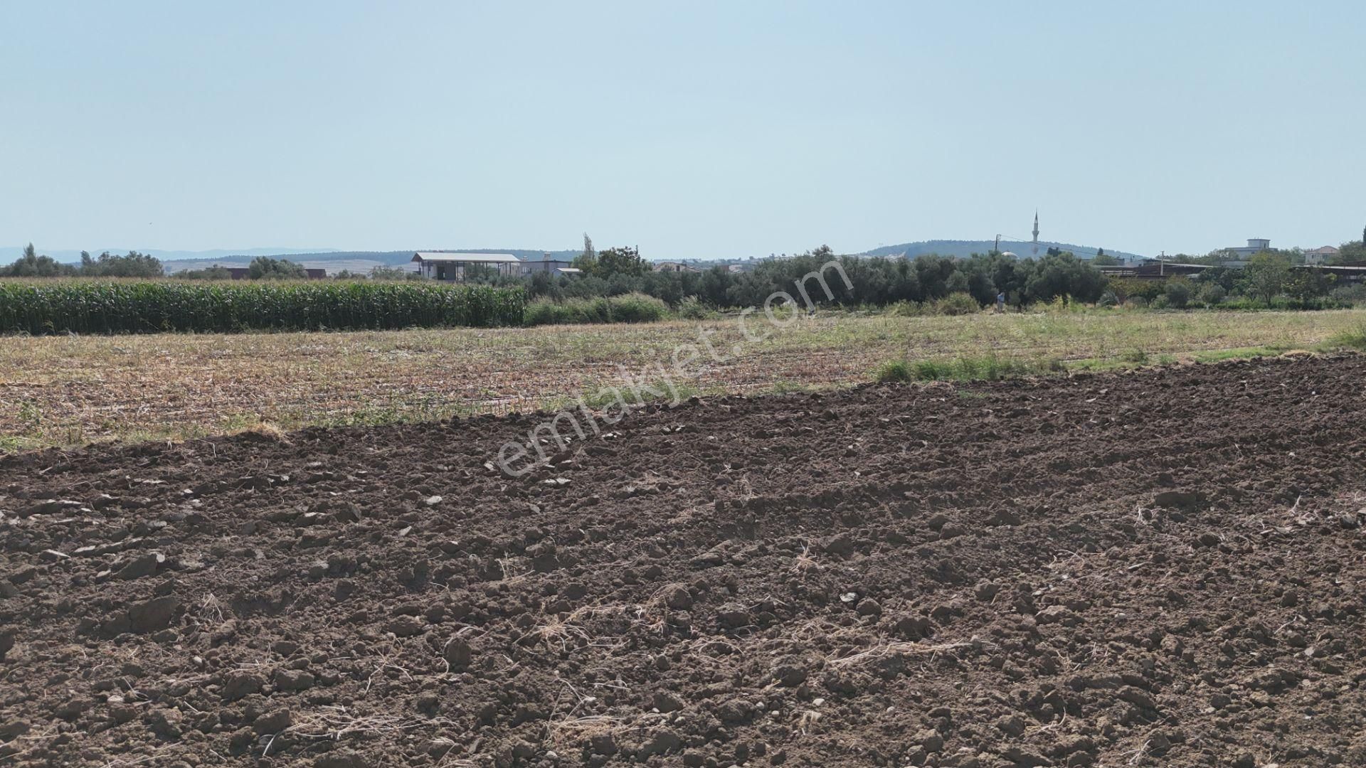 İzmir Menderes Oğlananasında Tek Müstakil Tapu 2440 M2 İmarda İnşaat Yap - Görsel 32