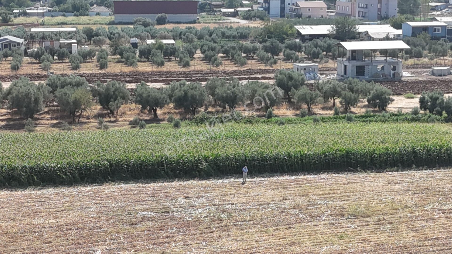 İzmir Menderes Oğlananasında Tek Müstakil Tapu 2440 M2 İmarda İnşaat Yap - Görsel 9