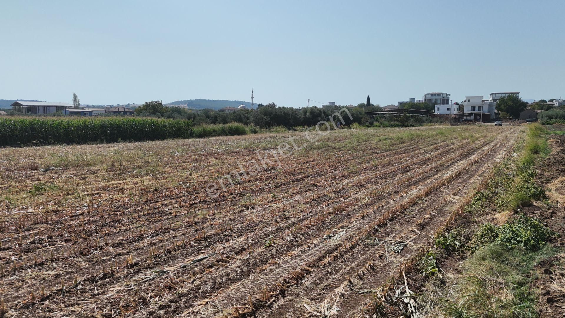 İzmir Menderes Oğlananasında Tek Müstakil Tapu 2440 M2 İmarda İnşaat Yap - Görsel 25
