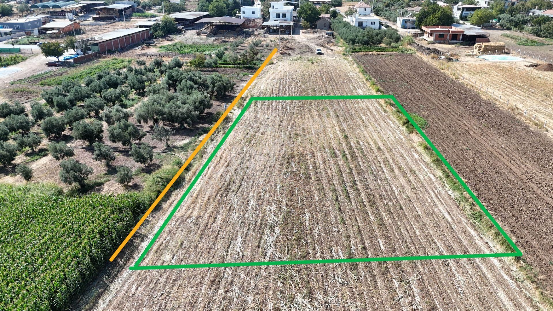 İzmir Menderes Oğlananasında Tek Müstakil Tapu 2440 M2 İmarda İnşaat Yap - Görsel 22
