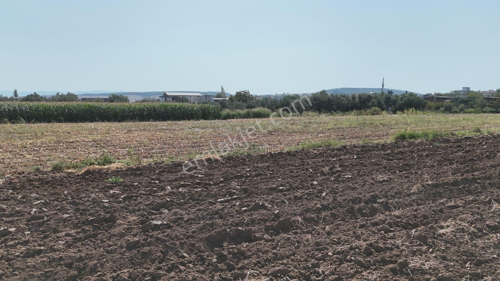 İzmir Menderes Oğlananasında Tek Müstakil Tapu 2440 M2 İmarda İnşaat Yap - Görsel 26