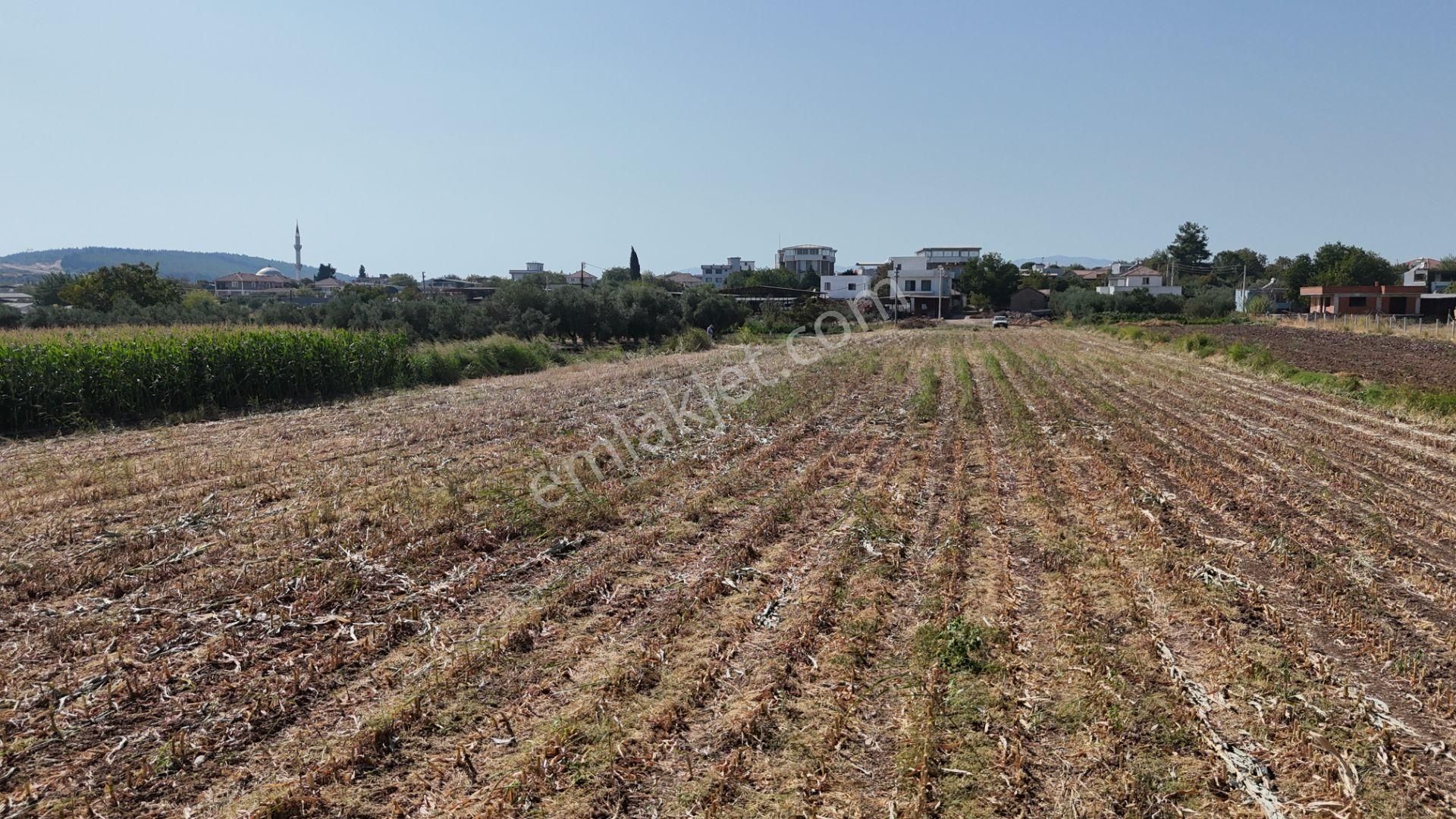 İzmir Menderes Oğlananasında Tek Müstakil Tapu 2440 M2 İmarda İnşaat Yap - Görsel 12