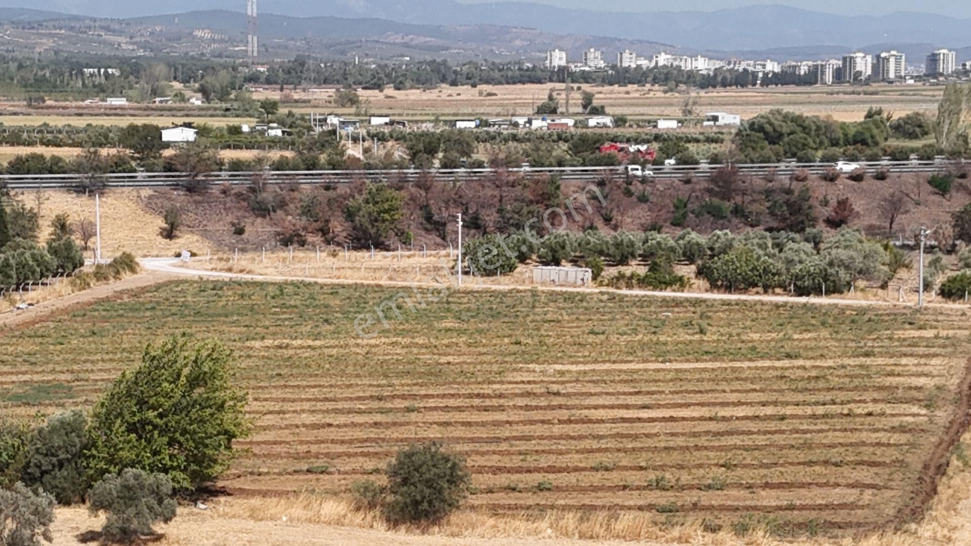 İzmir Menderes Oğlananasında Tek Müstakil Tapu 2440 M2 İmarda İnşaat Yap - Görsel 18