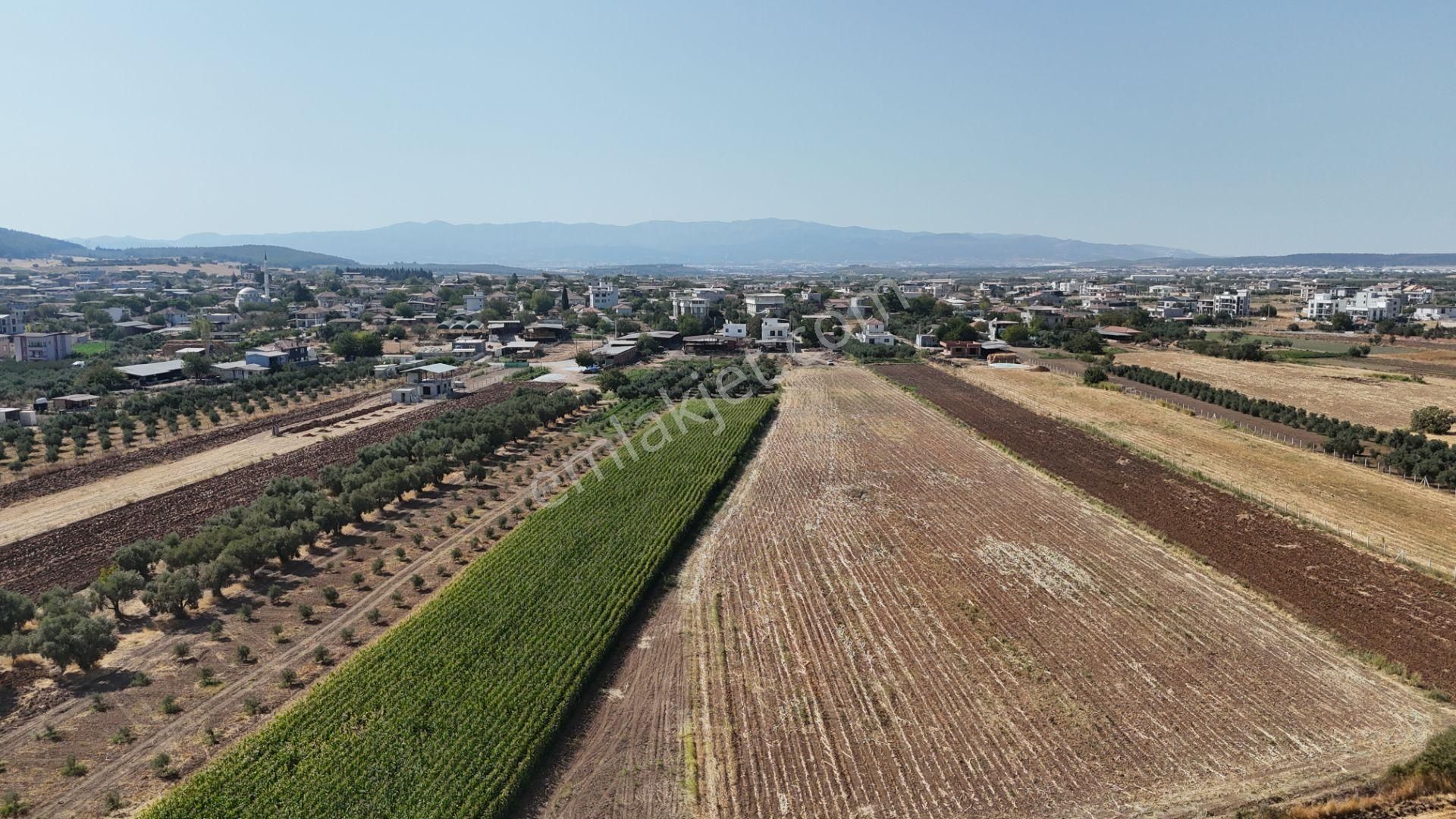 İzmir Menderes Oğlananasında Tek Müstakil Tapu 2440 M2 İmarda İnşaat Yap - Görsel 14