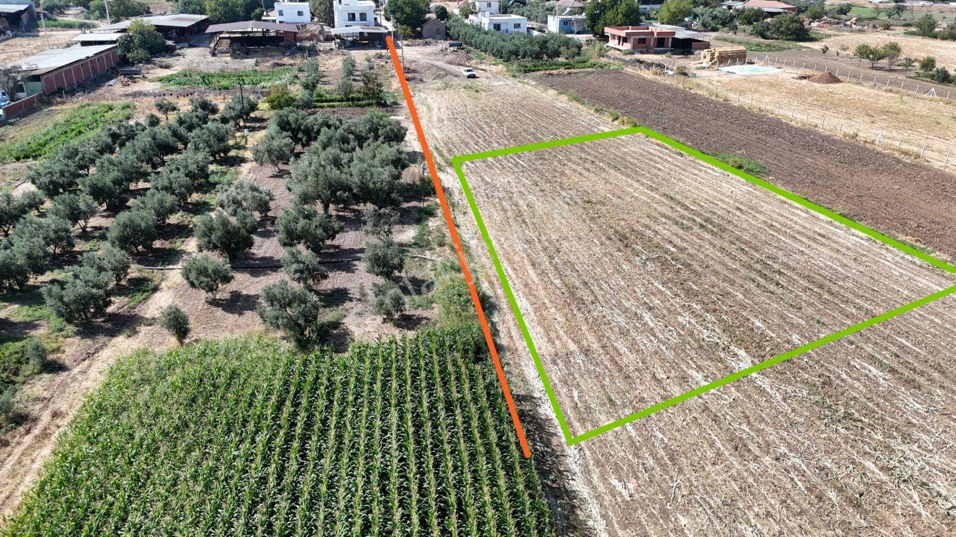 İzmir Menderes Oğlananasında Tek Müstakil Tapu 2440 M2 İmarda İnşaat Yap - Görsel 30
