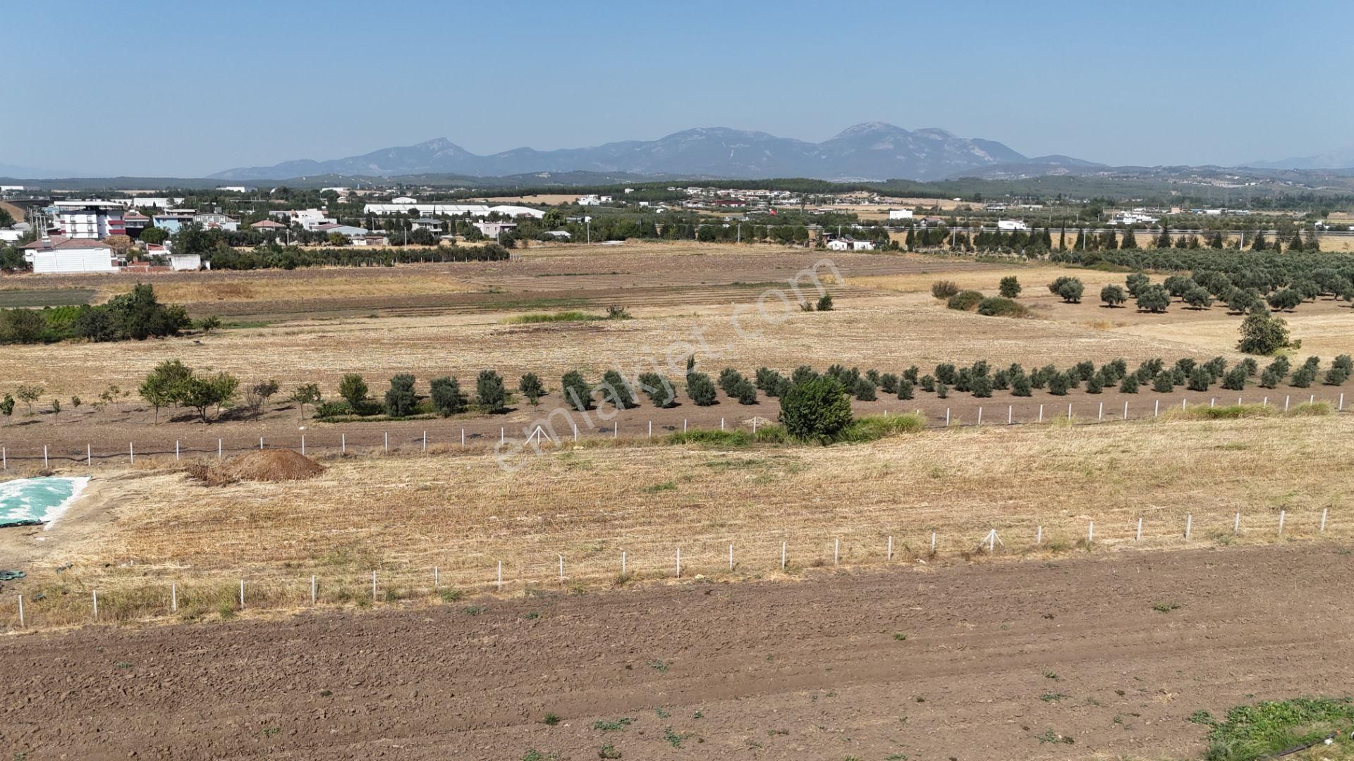 İzmir Menderes Oğlananasında Tek Müstakil Tapu 2440 M2 İmarda İnşaat Yap - Görsel 35
