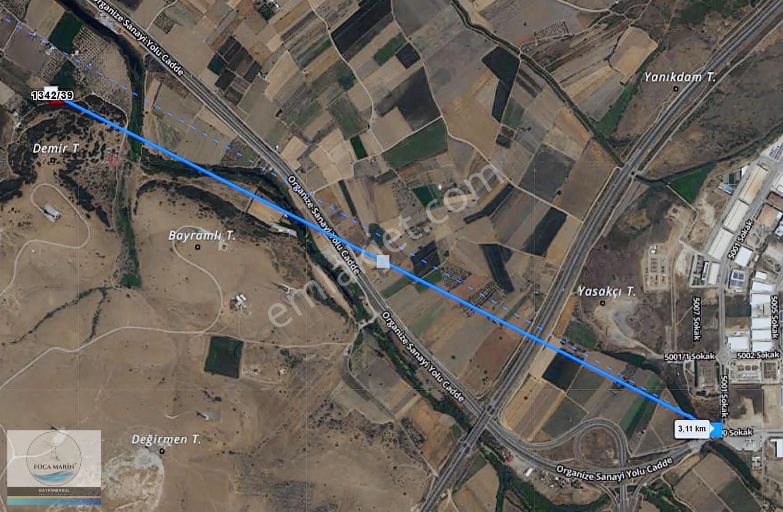 Aliağa Yalı Mh. Merkeze Yakın Konumda 1.246 M2 Zeytinli Tarla - Görsel 21