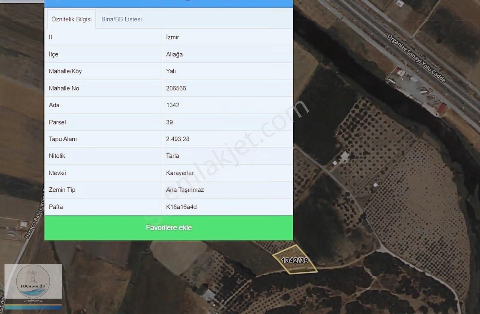 Aliağa Yalı Mh. Merkeze Yakın Konumda 1.246 M2 Zeytinli Tarla - Görsel 6