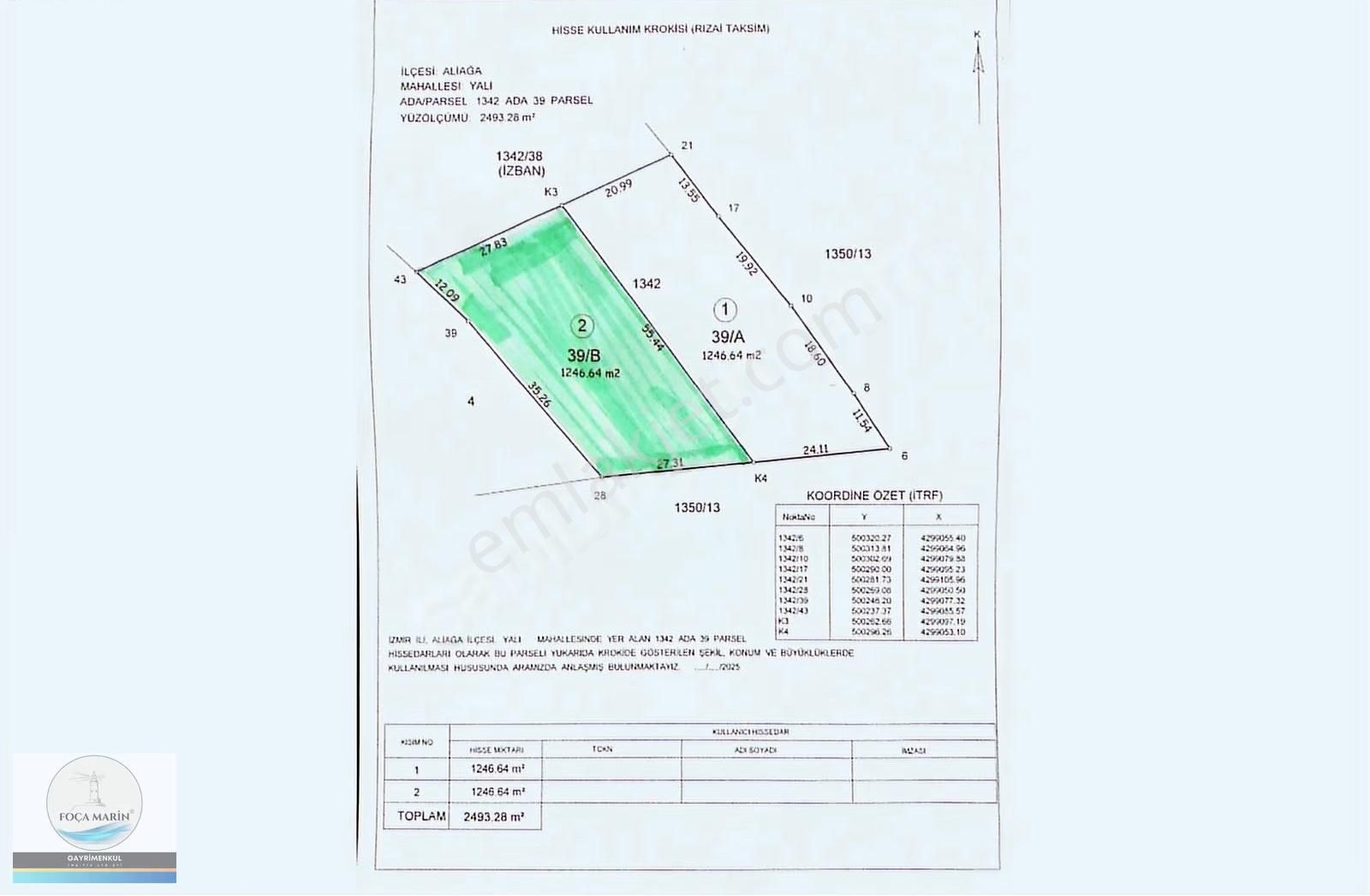 Aliağa Yalı Mh. Merkeze Yakın Konumda 1.246 M2 Zeytinli Tarla - Görsel 18