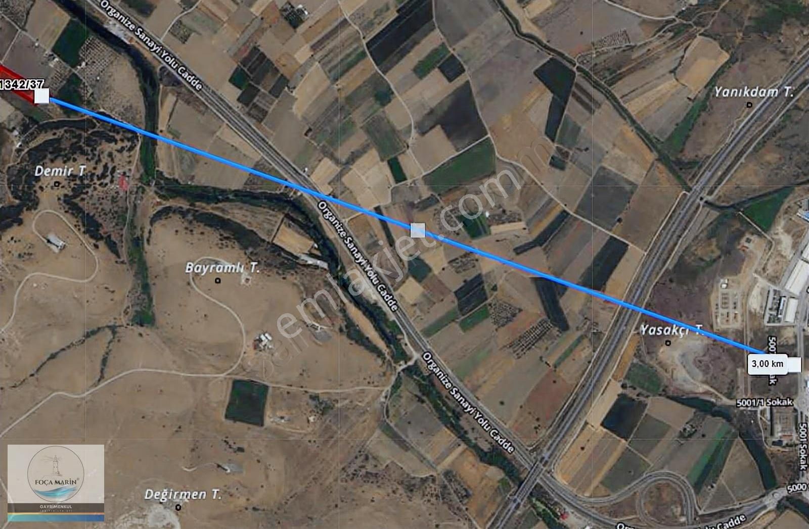 Aliağa Yalı Mh. Merkeze Yakın Konumda 1.246 M2 Zeytinli Tarla - Görsel 16