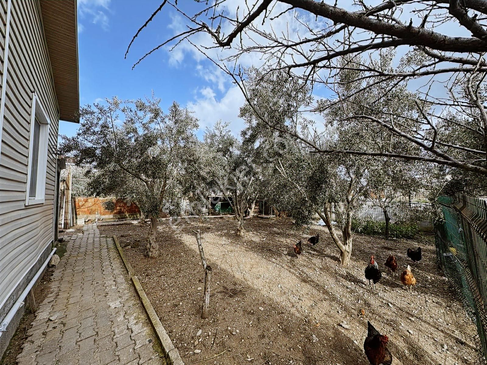 Öz-er Gayrimenkkul'den Satılık 500 M² Bahçe İçerisinde 2+1 Ev - Görsel 5