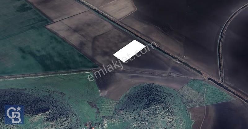 Cb Odak'tan Dikili Salimbey'de 21 Dönüm Verimli Tarla - Görsel 3