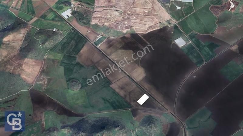 Cb Odak'tan Dikili Salimbey'de 21 Dönüm Verimli Tarla - Görsel 2