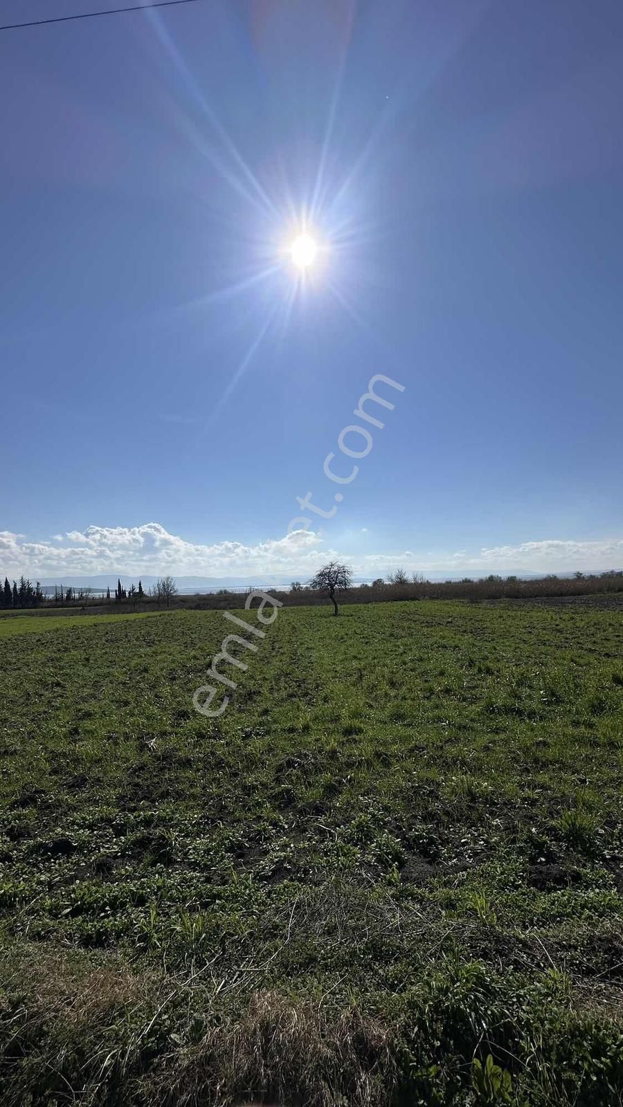 Araç Takasına Uygun Karacabey Karakoca'da İzmir Yoluna Cephe - Görsel 8