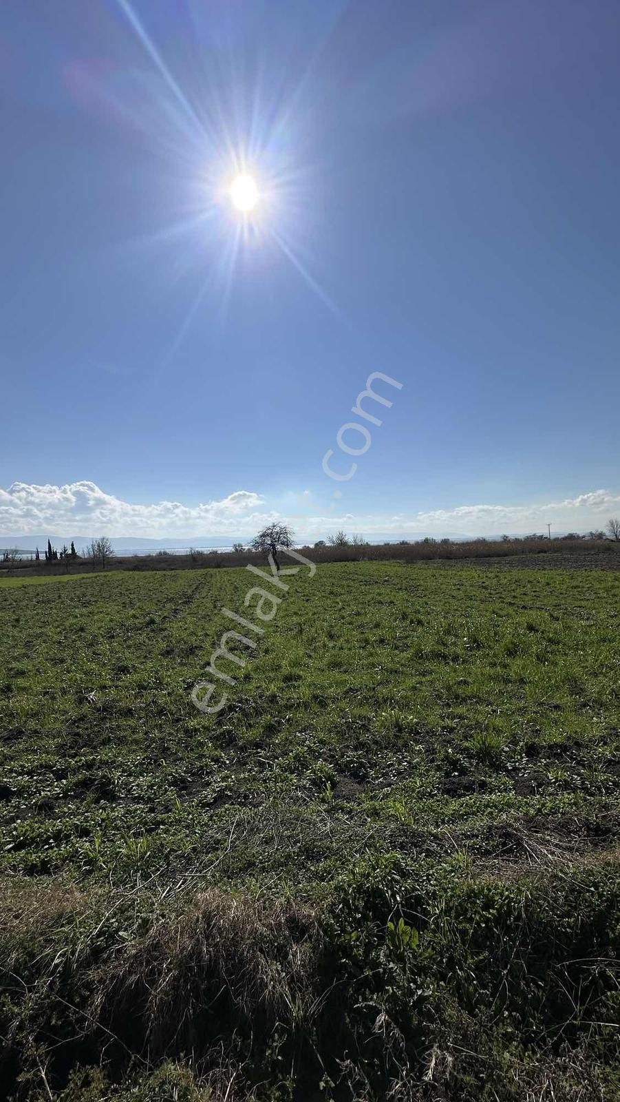 Araç Takasına Uygun Karacabey Karakoca'da İzmir Yoluna Cephe