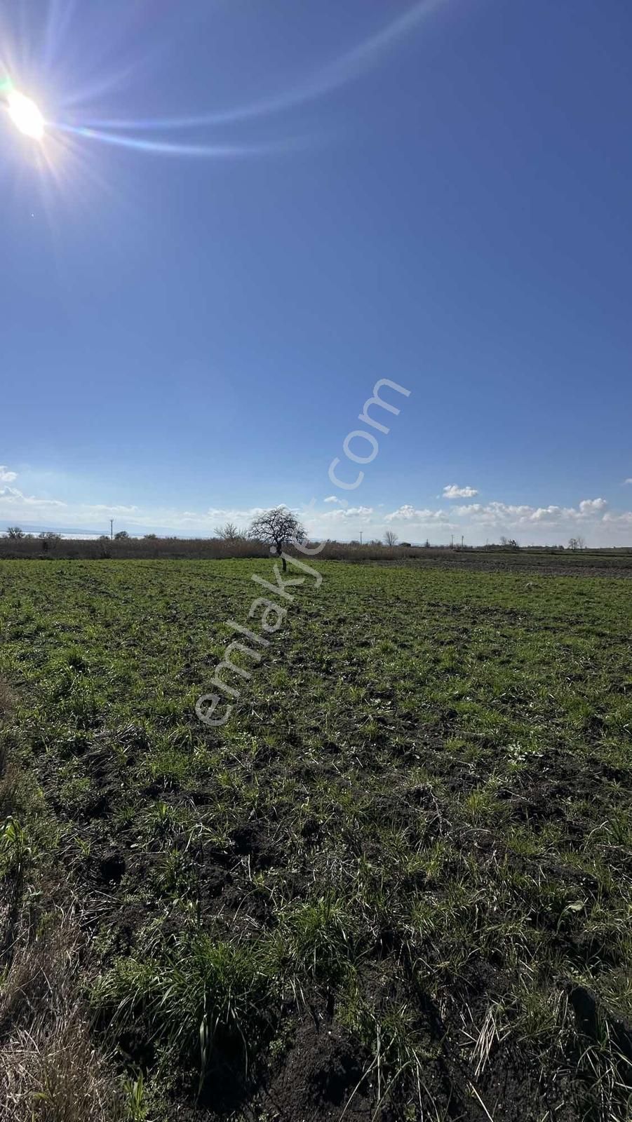 Araç Takasına Uygun Karacabey Karakoca'da İzmir Yoluna Cephe - Görsel 4