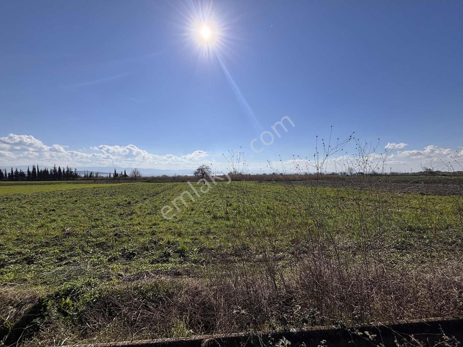 Araç Takasına Uygun Karacabey Karakoca'da İzmir Yoluna Cephe - Görsel 15